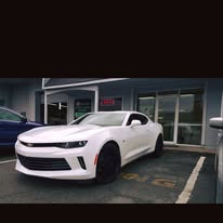 Fleet vehicle tint